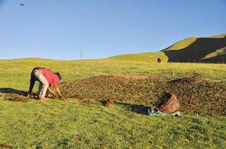加工している様子