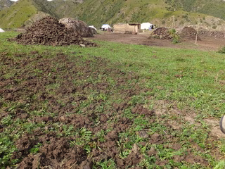 天日干し中の様子
