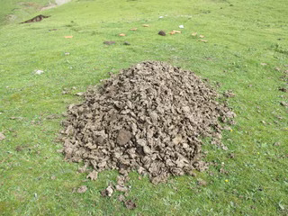 乾燥を終えたもの